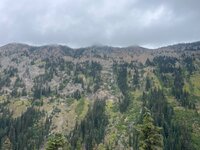 IMG_8170.jpeg