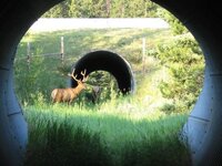 IMG_2627.jpeg