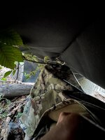 IMG_2629.jpeg