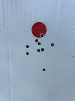 IMG_3507.jpeg