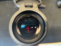 IMG_3337.jpeg