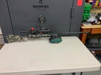 IMG_2430.jpeg