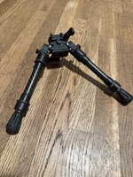 IMG_1553.jpeg