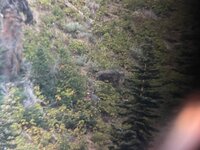 IMG_8165.jpeg