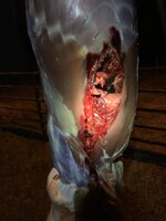 IMG_8582.jpeg