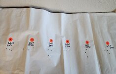 20250920_111042.jpg