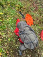 IMG_3310.jpeg
