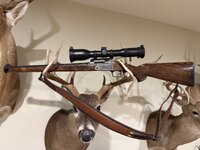 IMG_7176.jpeg