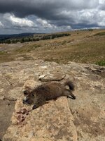 IMG_3333.jpeg IMG_3333.jpeg