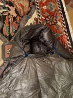 IMG_4503.jpg