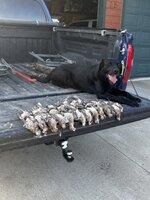 IMG_1208.jpeg
