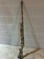 IMG_0255.jpeg