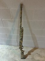 IMG_0256.jpeg