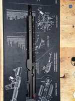 IMG_2194.jpeg