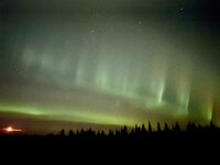IMG_3652.jpeg