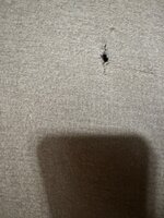IMG_1582.jpeg