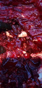 20250920_200909.jpg