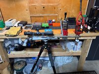 IMG_7505.jpeg