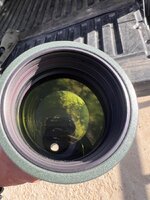 IMG_8317.jpeg