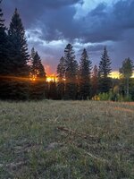 IMG_8609.jpeg