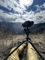 IMG_4387.jpeg