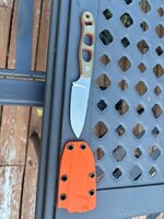 IMG_0548.jpeg