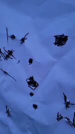 20250920_194213.jpg
