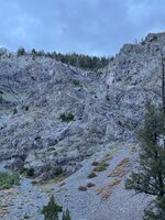 IMG_7500.jpeg