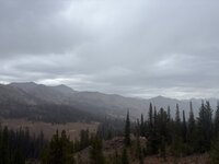 IMG_4986.jpeg