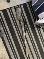IMG_1503.jpeg