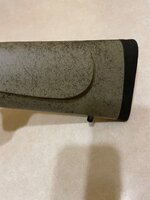 IMG_3741.jpeg