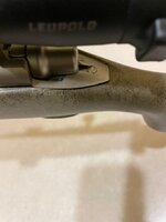 IMG_3740.jpeg