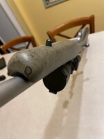 IMG_3738.jpeg