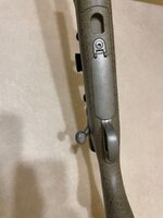 IMG_3739.jpeg