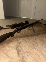 IMG_5963.jpeg