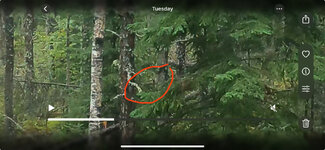 IMG_1198.jpeg