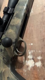 IMG_3527.jpeg IMG_3527.jpeg