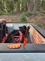 20250921_183847.jpg 20250921_183847.jpg