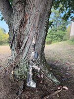 IMG_3923.jpeg