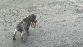 IMG_6130.jpeg