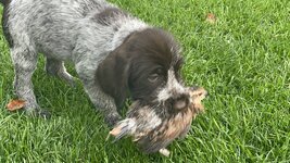 IMG_6115.jpeg