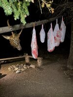 IMG_1644.jpeg