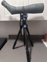 IMG_3022.jpeg