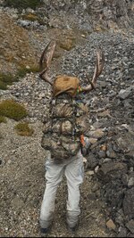 IMG_2309.jpg