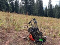 IMG_2572.jpeg