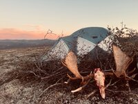 IMG_0463.jpeg