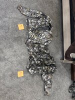IMG_8351.jpeg