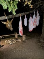 IMG_1644.jpeg