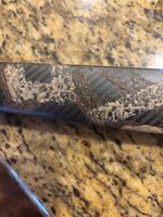 IMG_6811.jpeg