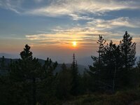 IMG_3176.jpeg